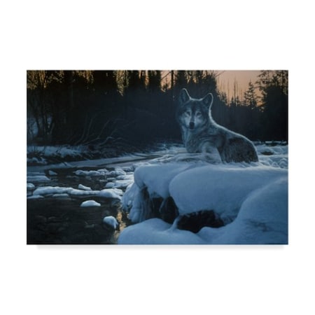 Ron Parker 'Evening Solitude' Canvas Art,30x47